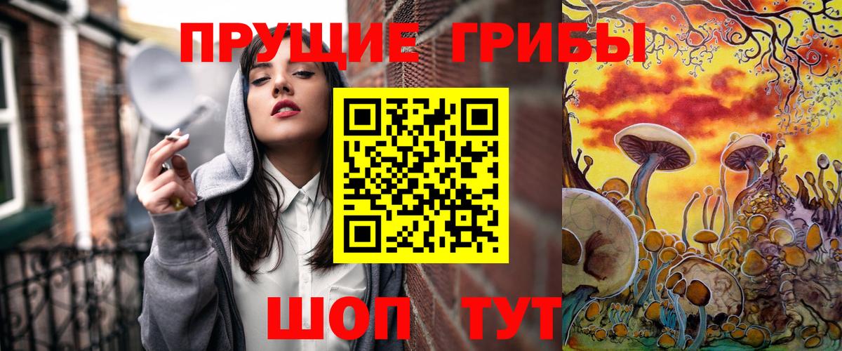купить наркотик  Псилоцибиновые грибы Psilocybe  Галлюциногенные грибы ЛСД  Вход с VPN  Якутск 